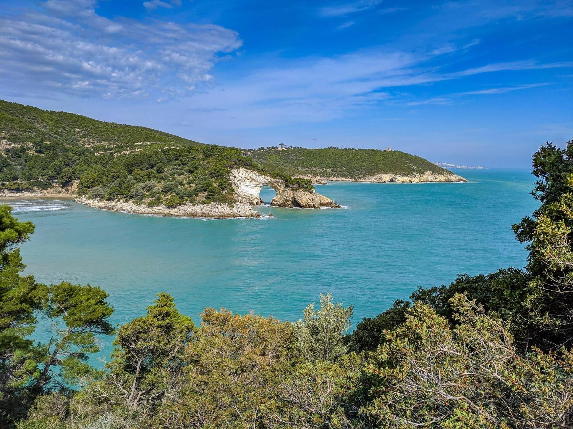 Villa Mapa - Appartamenti Vicino Al Mare Vieste Ngoại thất bức ảnh