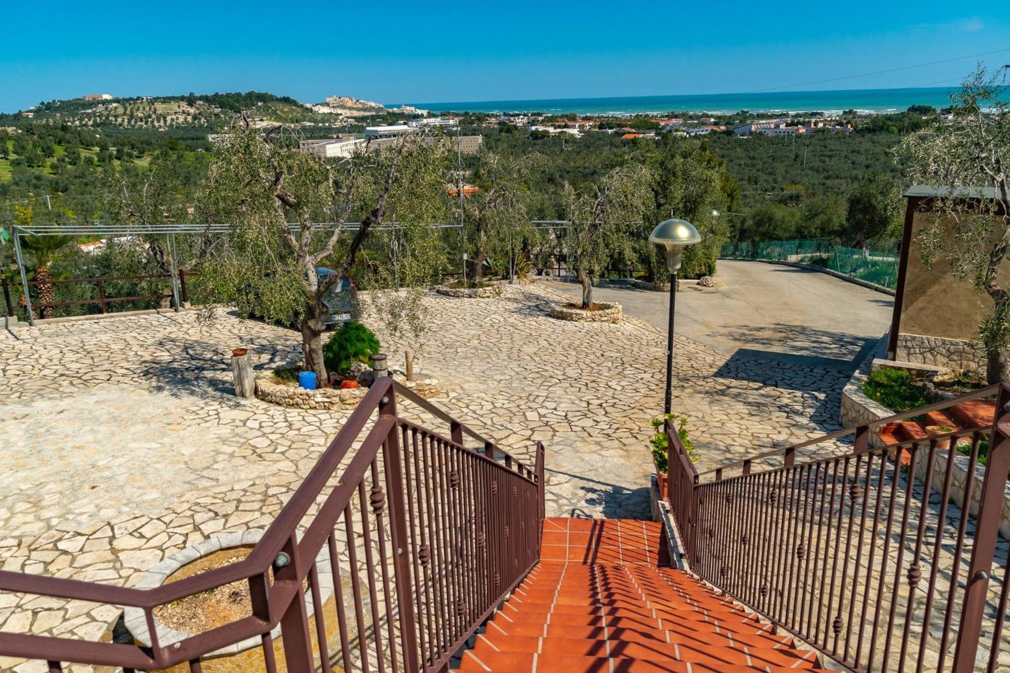 Villa Mapa - Appartamenti Vicino Al Mare Vieste Ngoại thất bức ảnh