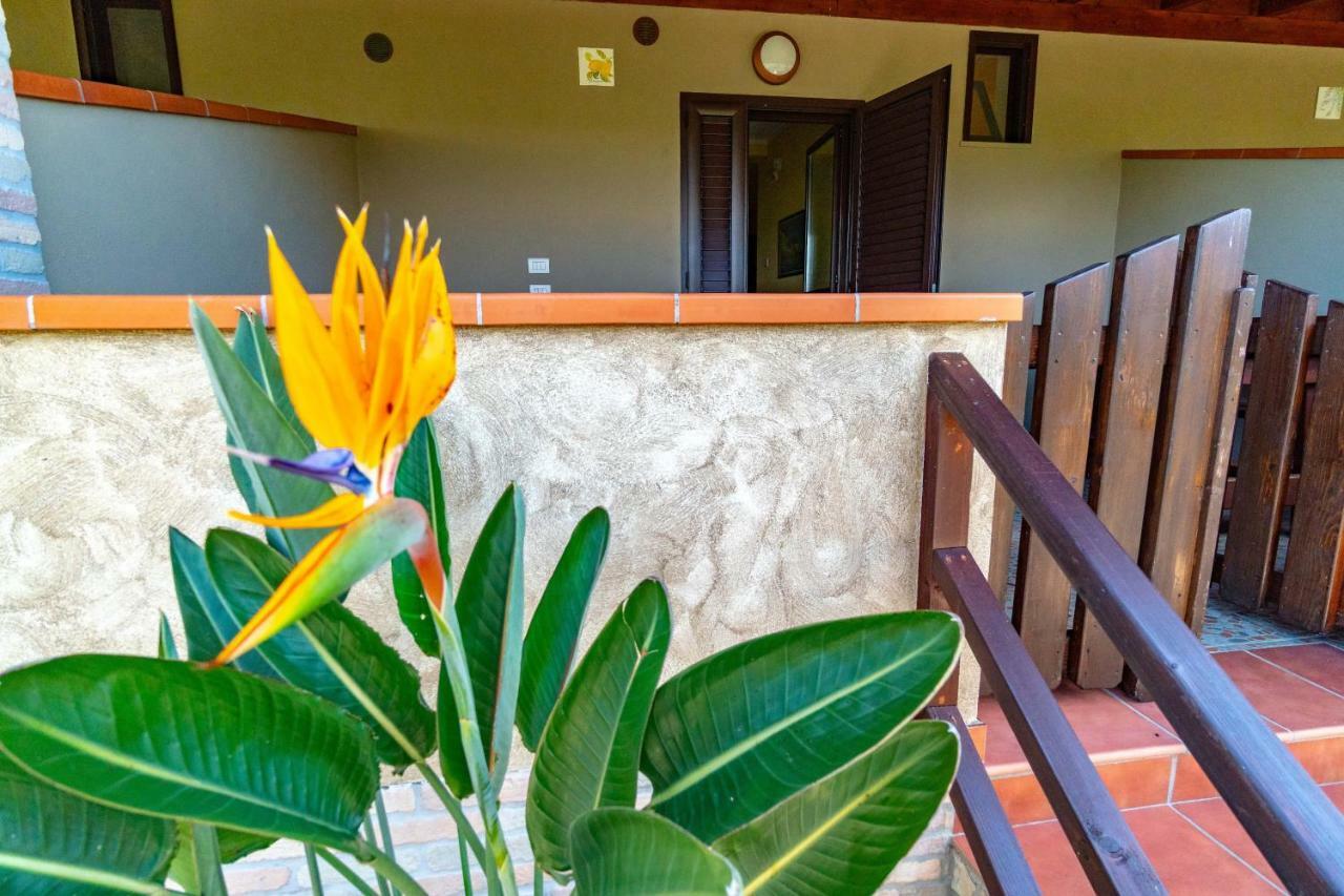 Villa Mapa - Appartamenti Vicino Al Mare Vieste Ngoại thất bức ảnh